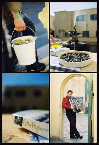 Accordion - Wedding Riebeeck West